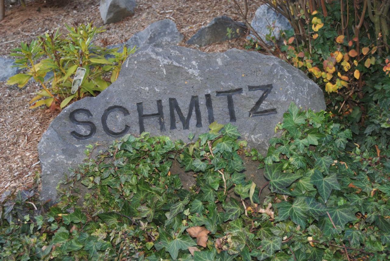 Ferienwohnung Schmitz Anschau Екстериор снимка